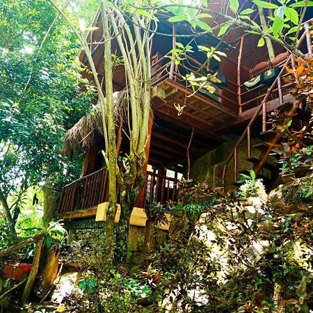 Jungle Face Inn Ella Eksteriør bilde