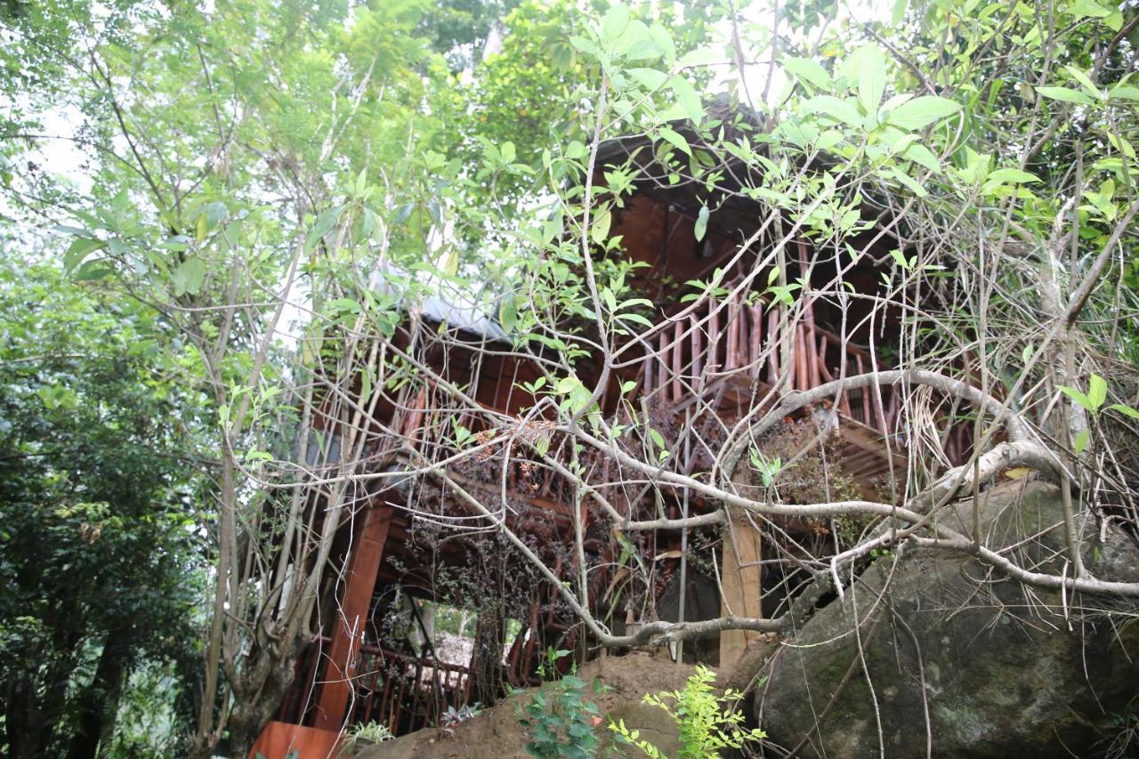 Jungle Face Inn Ella Eksteriør bilde